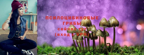 ГАЛЛЮЦИНОГЕННЫЕ ГРИБЫ Арсеньев